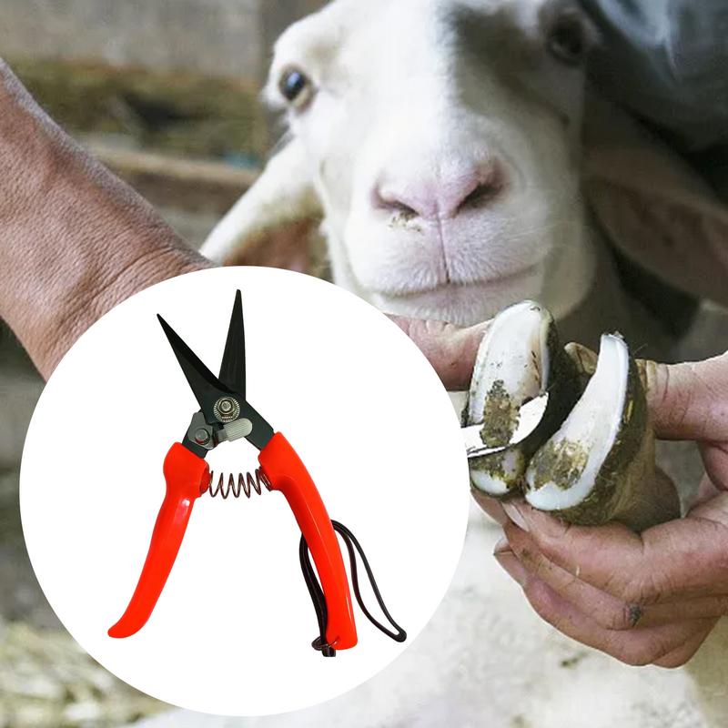 Schapenhoeftrimmers Struikplan - Woodworking Horse recensie en prijs