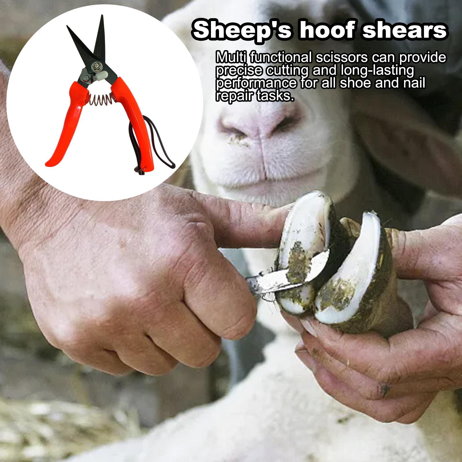 Geitenhoeftrimmer Ergonomische - Woodworking Horse recensie en prijs