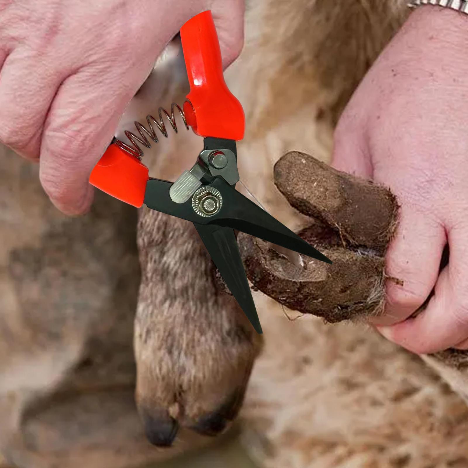 Geitenhoeftrimmer Ergonomische - Woodworking Horse recensie en prijs