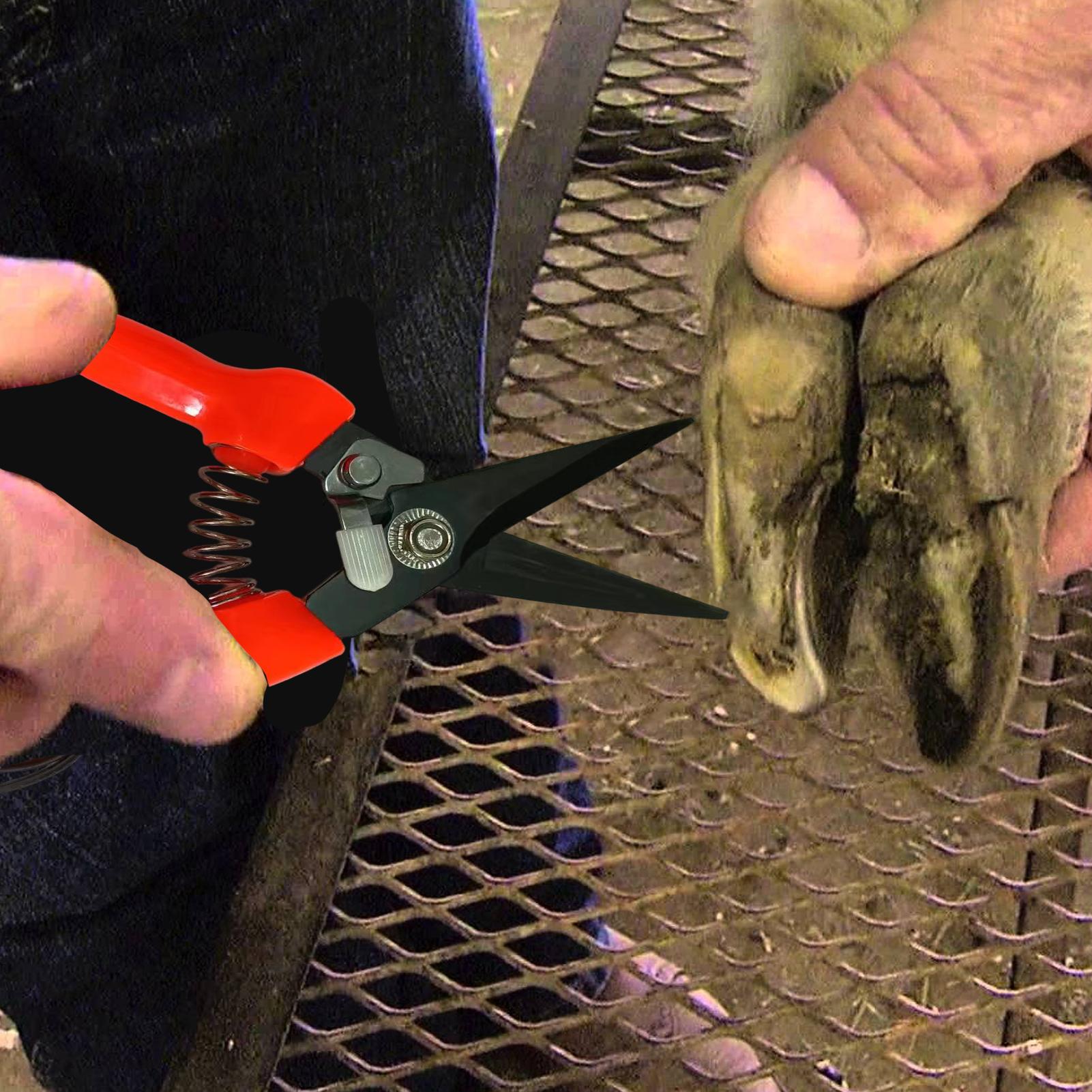 Geitenhoeftrimmer Ergonomische - Woodworking Horse recensie en prijs